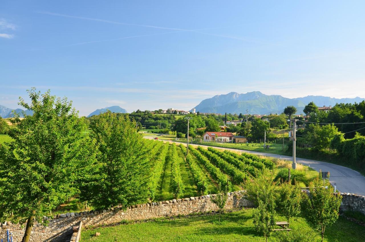 Agriturismo Borgo Floreani Vendoglio Εξωτερικό φωτογραφία